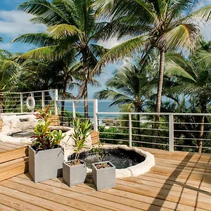 Eco Lifestyle And ** Bathsheba